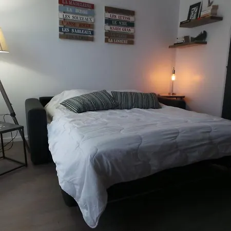 Апартаменты Renove A 2 Pas De La Avec Terrasse Privee, Parking Et Menage Inclus - - Fr-1-224b-36